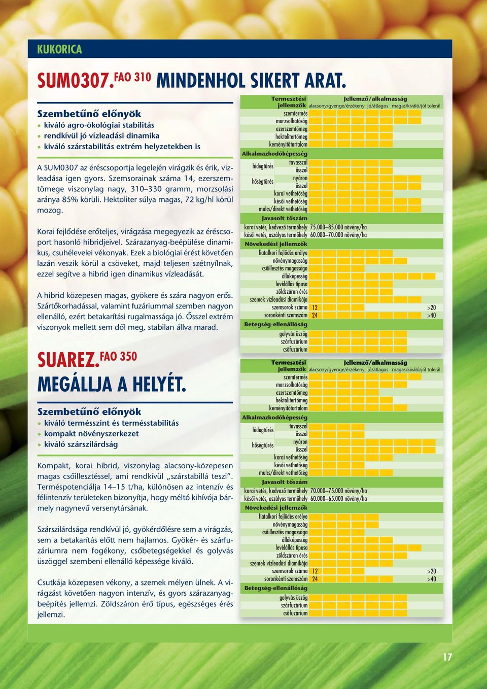 Szemsorainak száma 14, ezerszem - tömege viszonylag nagy, 310 330 gramm, morzsolási aránya 85% körüli. Hektoliter súlya magas, 72 kg/hl körül mozog.