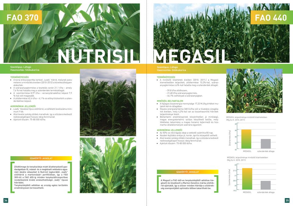 A zöldtermése, t/ha,1 %-os előnyt biztosított a sztenderdekhez képest. Leafy (leveles) típus silóhibrid, a csőfeletti levélszáma minimum 9 db.