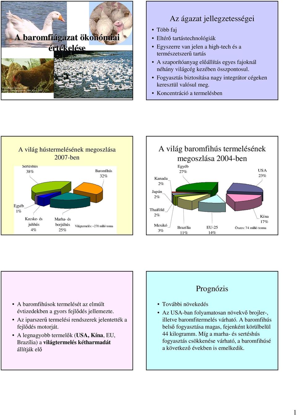 Koncentráció a termelésben A világ hústermelésének megoszlása 2007-ben Sertéshús 38% Baromfihús 32% A világ baromfihús termelésének megoszlása 2004-ben Kanada 2% Japán 2% Egyéb 27% USA 23% Egyéb 1%