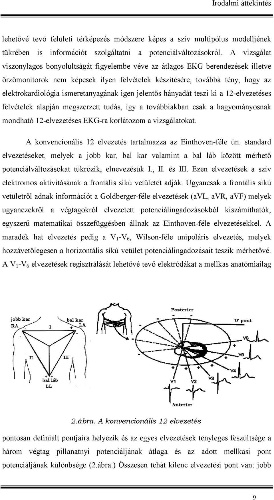 ismeretanyagának igen jelent(s hányadát teszi ki a 12-elvezetéses felvételek alapján megszerzett tudás, így a továbbiakban csak a hagyományosnak mondható 12-elvezetéses EKG-ra korlátozom a