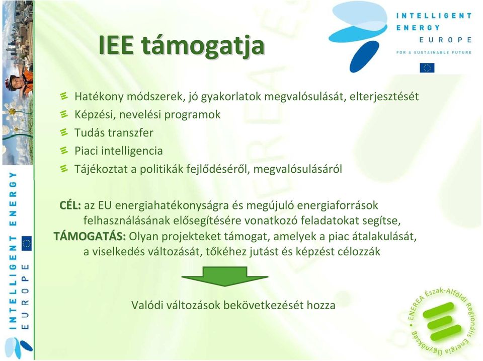 megújulóenergiaforrások felhasználásának elősegítésére vonatkozó feladatokat segítse, TÁMOGATÁS: S:Olyan projekteket