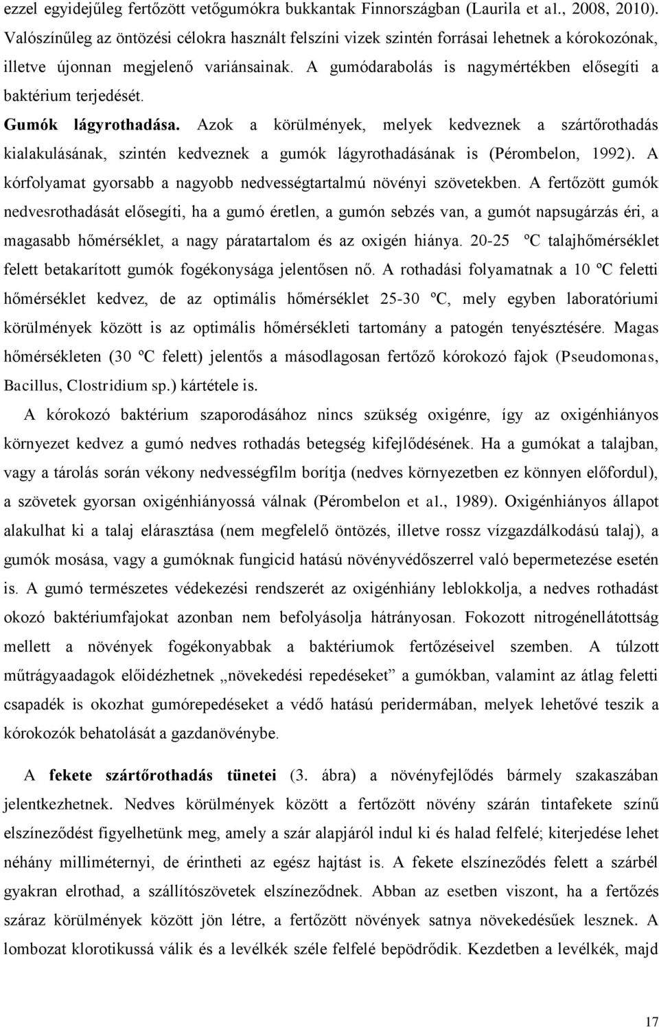 A gumódarabolás is nagymértékben elősegíti a baktérium terjedését. Gumók lágyrothadása.