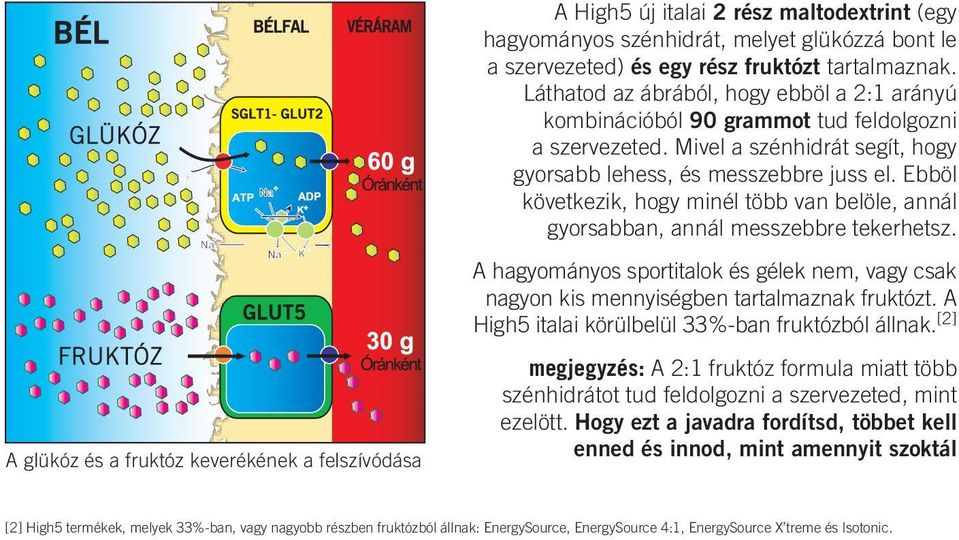 Ebböl következik, hogy minél több van belöle, annál gyorsabban, annál messzebbre tekerhetsz. A hagyományos sportitalok és gélek nem, vagy csak nagyon kis mennyiségben tartalmaznak fruktózt.