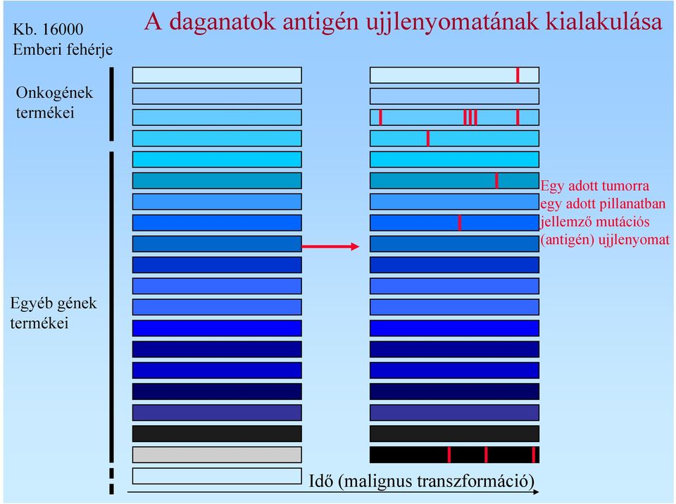 adott tumorra egy adott pillanatban jellemző mutációs