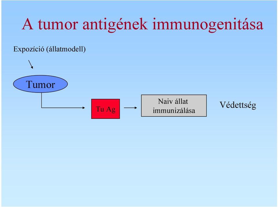 (állatmodell) Tumor Tu Ag