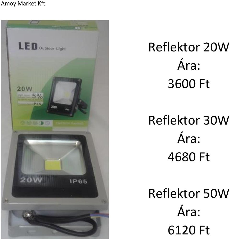 Reflektor 30W