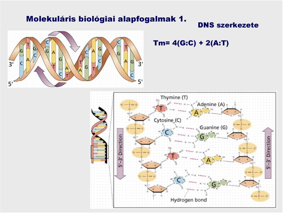 alapfogalmak 1.