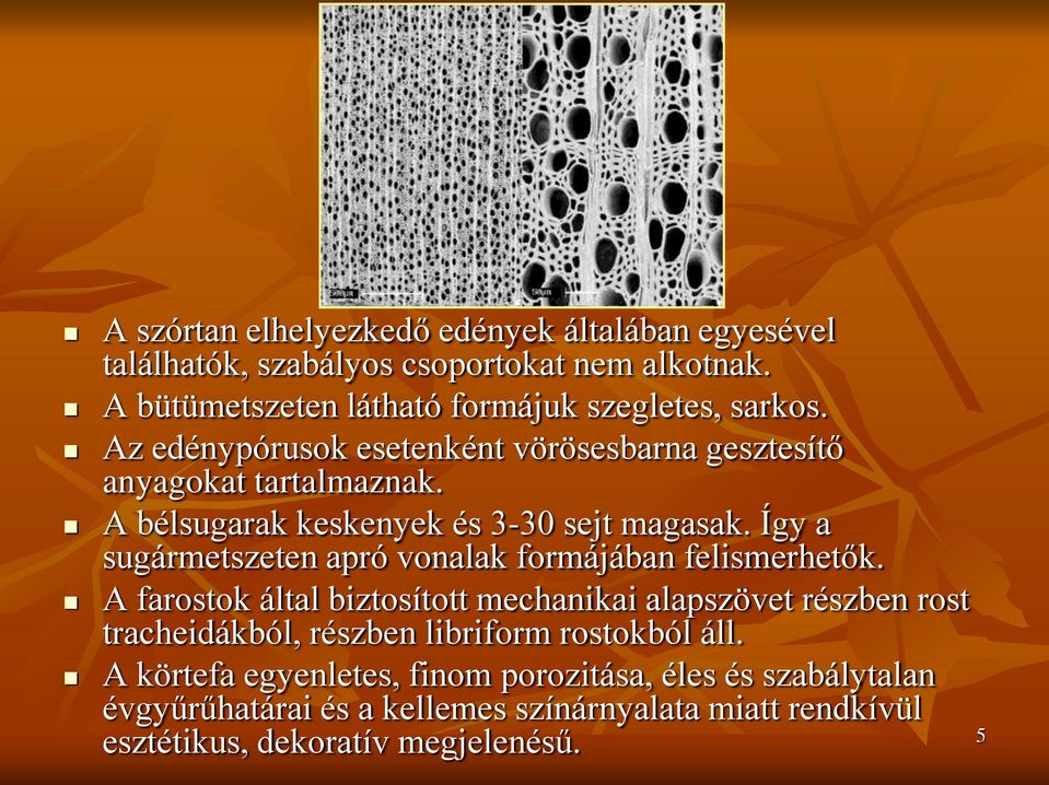 Így a sugármetszeten apró vonalak formájában felismerhetők.