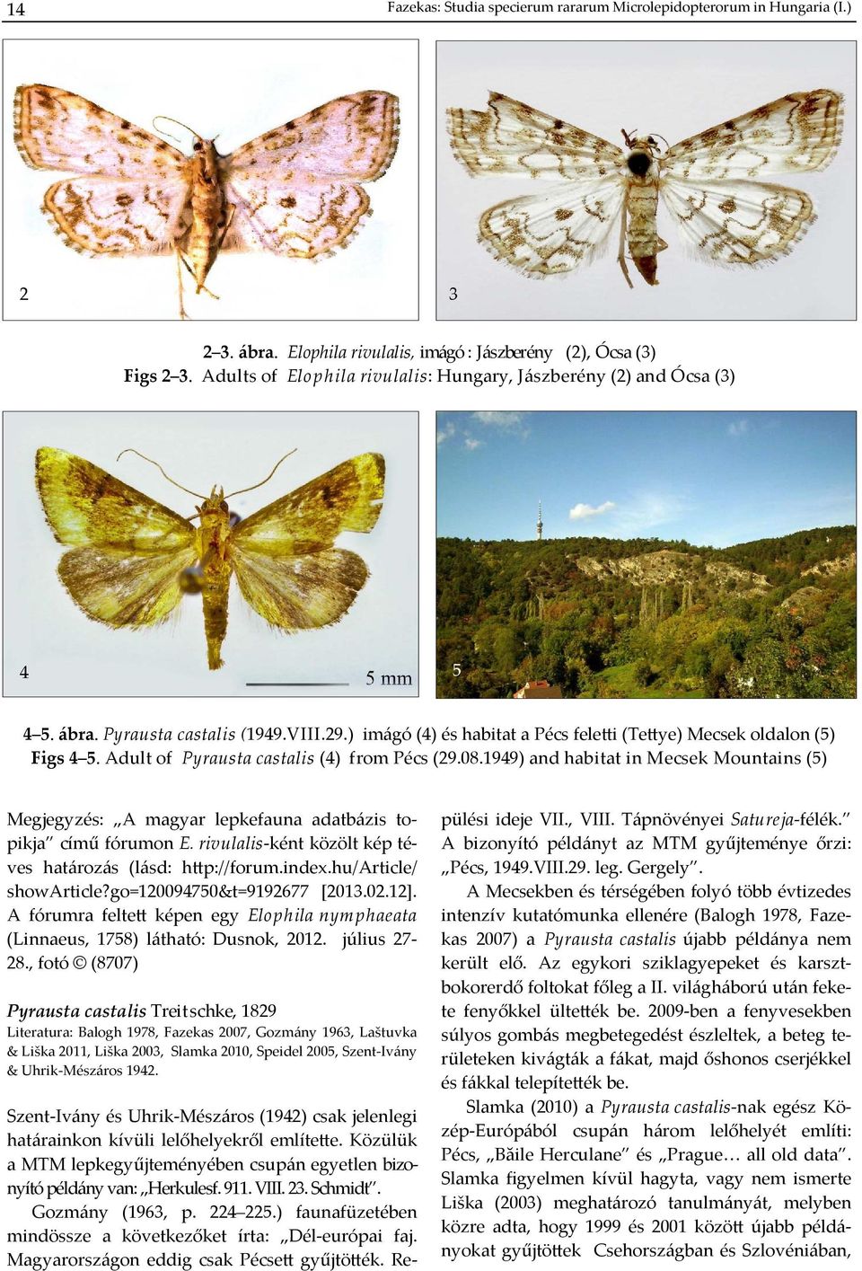 Adult of Pyrausta castalis (4) from Pécs (29.08.1949) and habitat in Mecsek Mountains (5) Megjegyzés: A magyar lepkefauna adatbázis topikja című fórumon E.