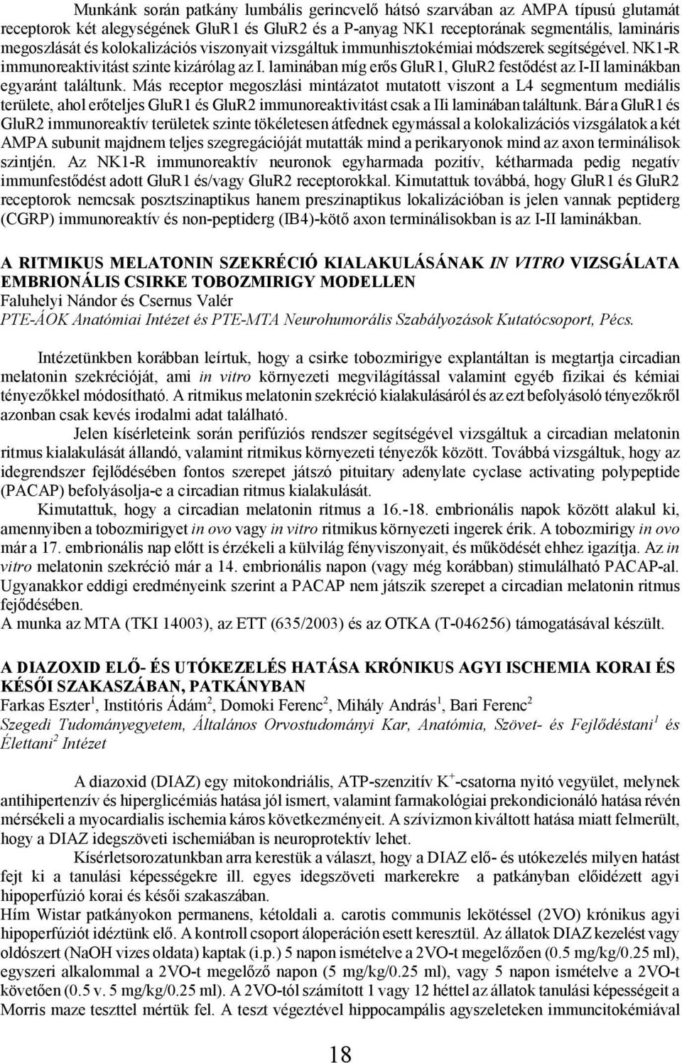 laminában míg erős GluR1, GluR2 festődést az I-II laminákban egyaránt találtunk.