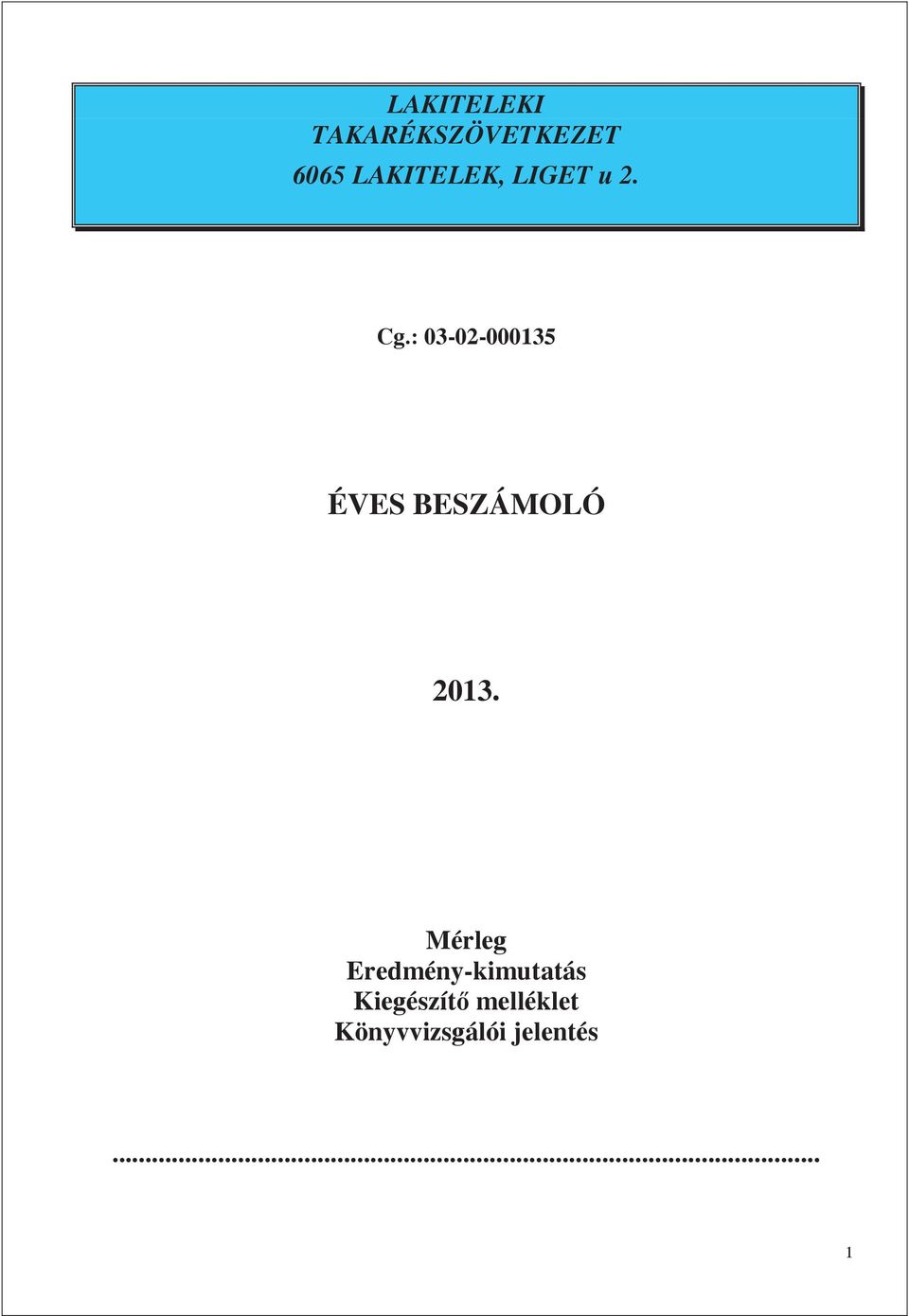 : 03-02-000135 ÉVES BESZÁMOLÓ 2013.