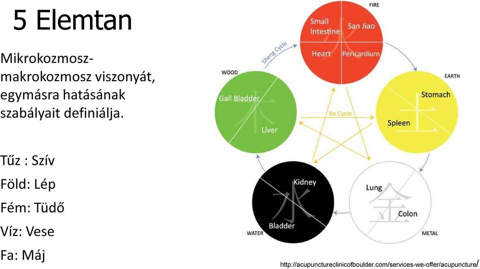 Tűz : Szív Föld: Lép Fém: Tüdő Víz: Vese Fa: Máj