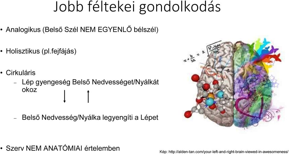 fejfájás) Cirkuláris Lép gyengeség Belső Nedvességet/Nyálkát okoz Belső