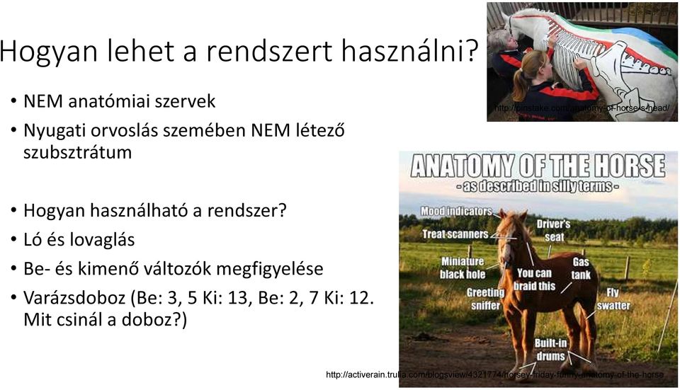 com/anatomy-of-horse-s-head/ Hogyan használható a rendszer?