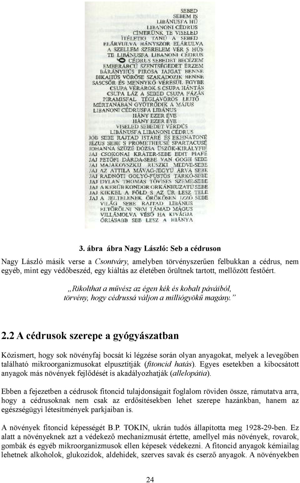 2 A cédrusok szerepe a gyógyászatban Közismert, hogy sok növényfaj bocsát ki légzése során olyan anyagokat, melyek a levegőben található mikroorganizmusokat elpusztítják (fitoncid hatás).