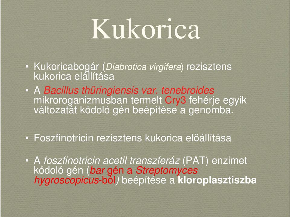 tenebroides mikroroganizmusban termelt Cry3 fehérje egyik változatát kódoló gén beépítése a