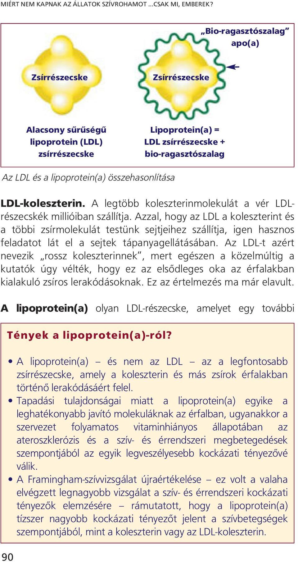 összehasonlítása LDL-koleszterin. A legtöbb koleszterinmolekulát a vér LDLrészecskék millióiban szállítja.