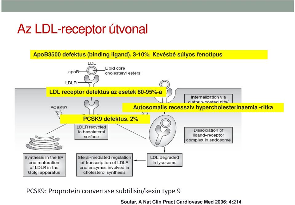 Autosomalis recesszív hypercholesterinaemia -ritka PCSK9 defektus.