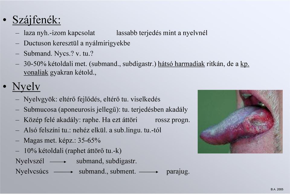 viselkedés Submucosa (aponeurosis jellegű): tu. terjedésben akadály Közép felé akadály: raphe. Ha ezt áttöri rossz progn. Alsó felszíni tu.