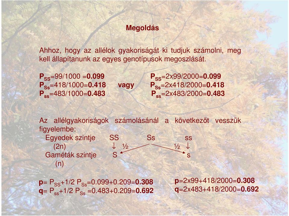 483 P ss =2x483/2000=0.