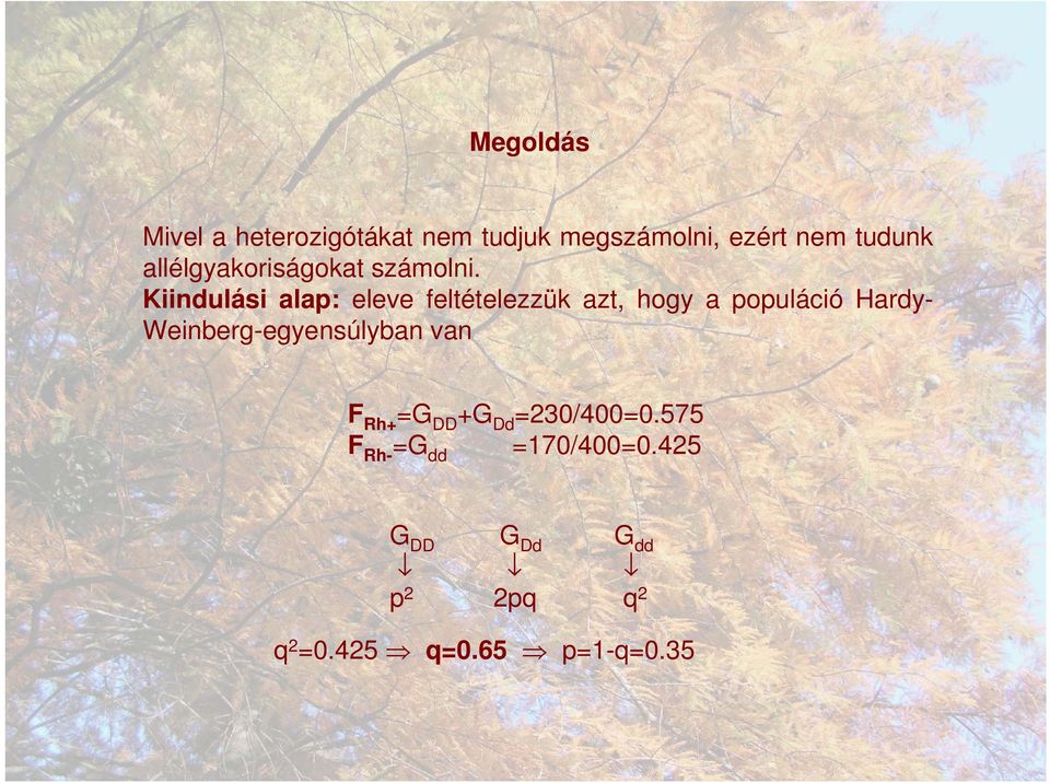 Kiindulási alap: eleve feltételezzük azt, hogy a populáció Hardy-
