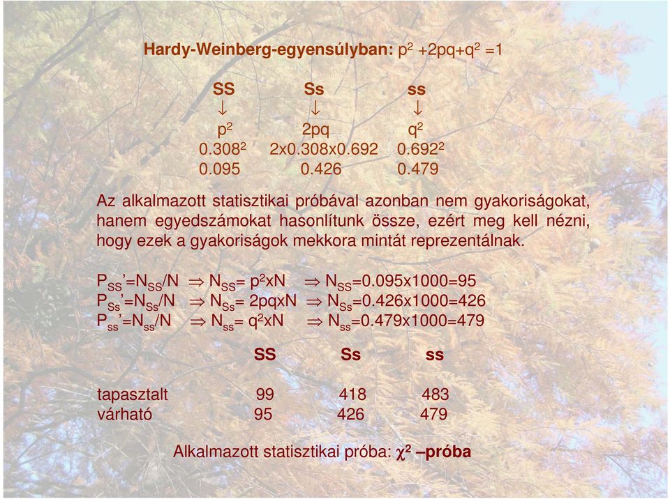 hogy ezek a gyakoriságok mekkora mintát reprezentálnak. P SS =N SS /N N SS = p 2 xn N SS =0.