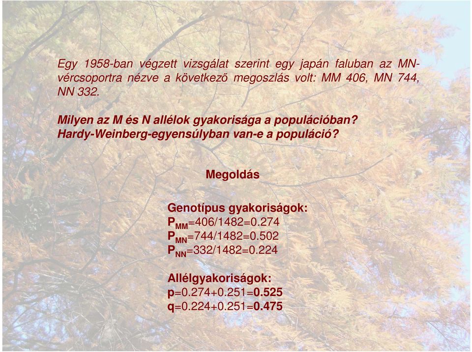 Hardy-Weinberg-egyensúlyban van-e a populáció? Megoldás Genotípus gyakoriságok: P MM =406/1482=0.