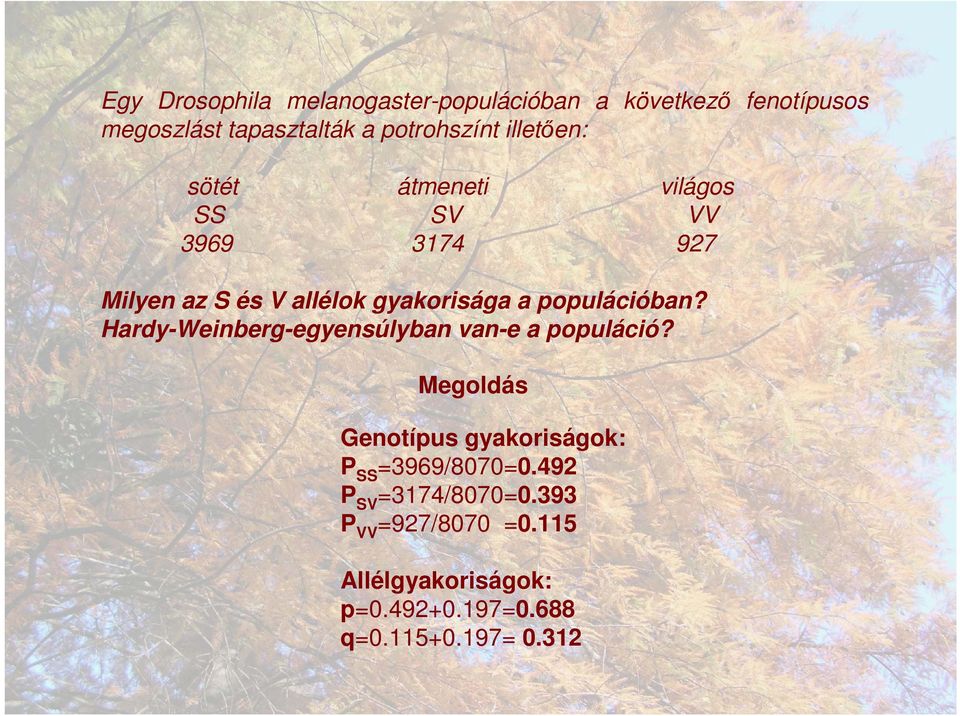 populációban? Hardy-Weinberg-egyensúlyban van-e a populáció?