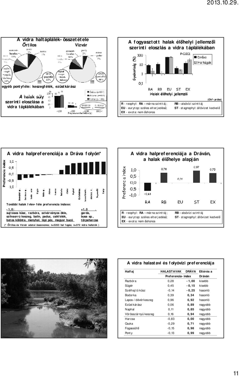 -próba) RB alsóvízi szinttáj ST- stagnophyl: állóvizet kedvelő A vidra halpreferenciája a Dráva folyón* A vidra halpreferenciája a Dráván, a halak élőhelye alapján További halak Ivlev-féle