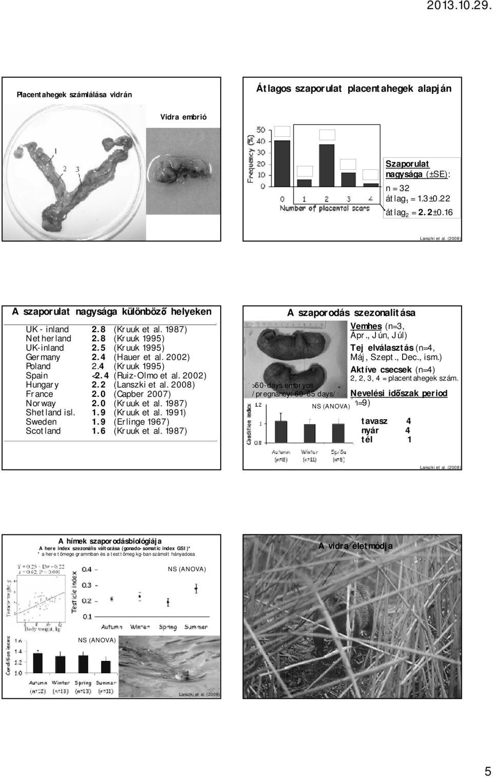 4 (Kruuk 1995) Spain <2.4 (Ruiz-Olmo et al. 2002) Hungary 2.2 (Lanszki et al. 2008) France 2.0 (Capber 2007) Norway 2.0 (Kruuk et al. 1987) Shetland isl. 1.9 (Kruuk et al. 1991) Sweden 1.