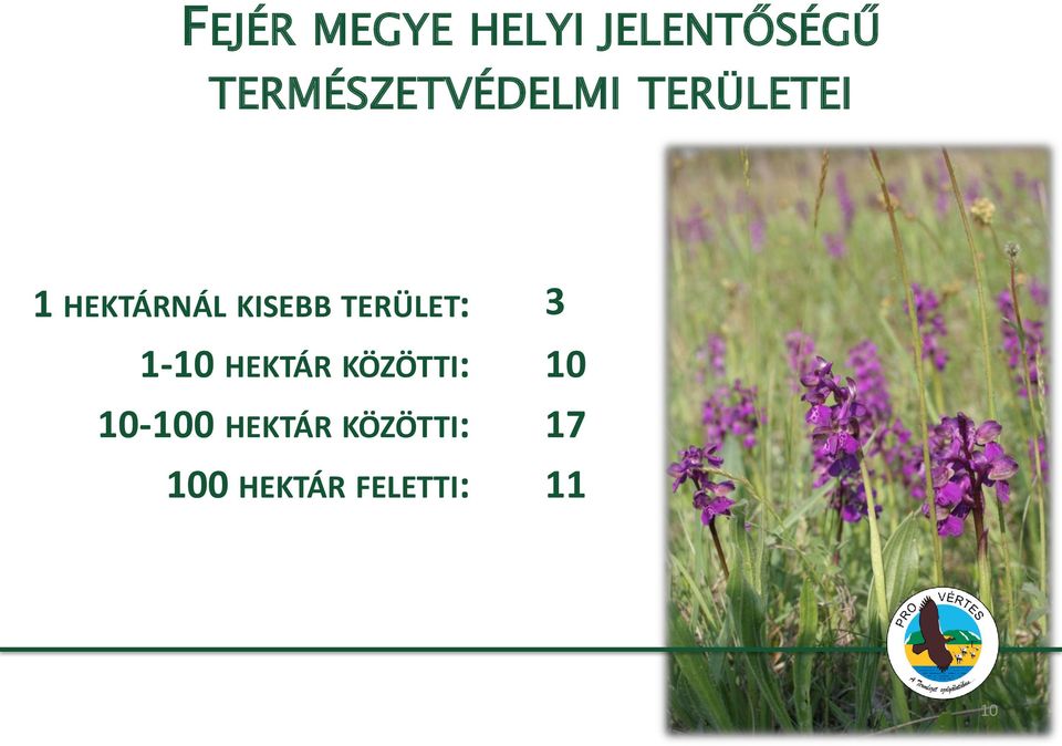 KISEBB TERÜLET: 3 1-10 HEKTÁR KÖZÖTTI: