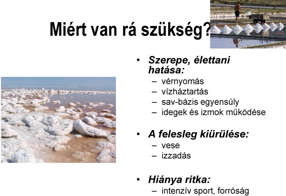 vízháztartás sav-bázis egyensúly idegek és