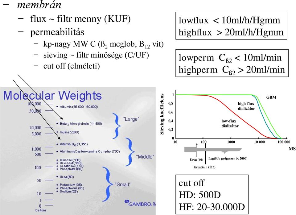 ß2 < 10ml/min highperm C ß2 > 20ml/min 1 0,8 0,6 high-flux dializátor GBM 0,4 0,2 low-flux dializátor 0 10