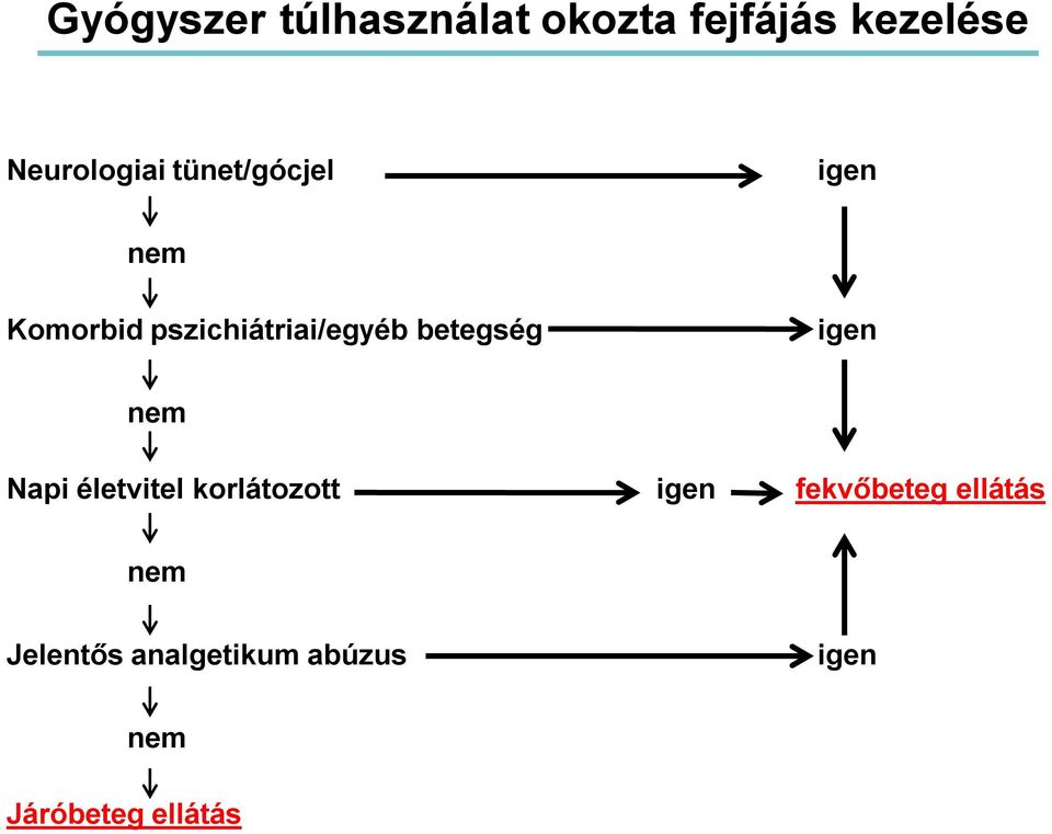 igen nem Napi életvitel korlátozott igen fekvőbeteg ellátás