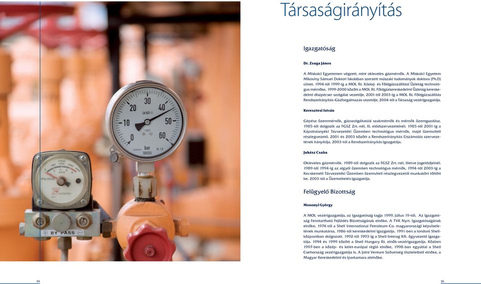 Földgázkereskedelmi Üzletág kereskedelmi diszpécser szolgálat vezetője, 2001-től 200-ig a MOL Rt. Földgázszállítás Rendszerirányítás-Gázforgalmazás vezetője, 2004-től a Társaság vezérigazgatója.