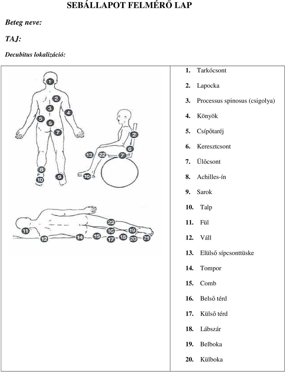 Ülıcsont 8. Achilles-ín 9. Sarok 10. Talp 11. Fül 12. Váll 13.
