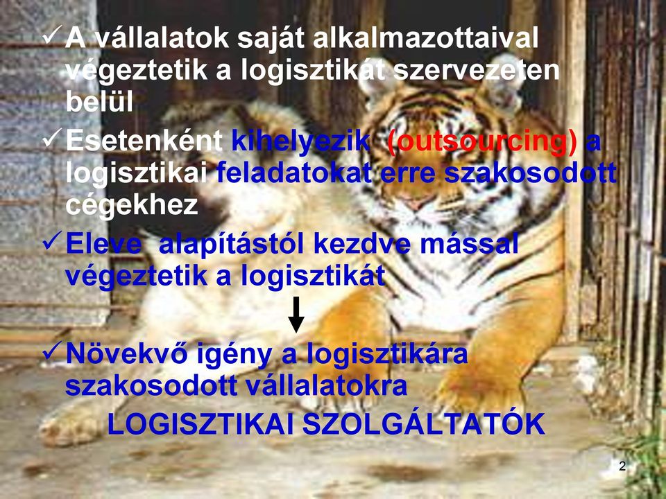 szakosodott cégekhez Eleve alapítástól kezdve mással végeztetik a