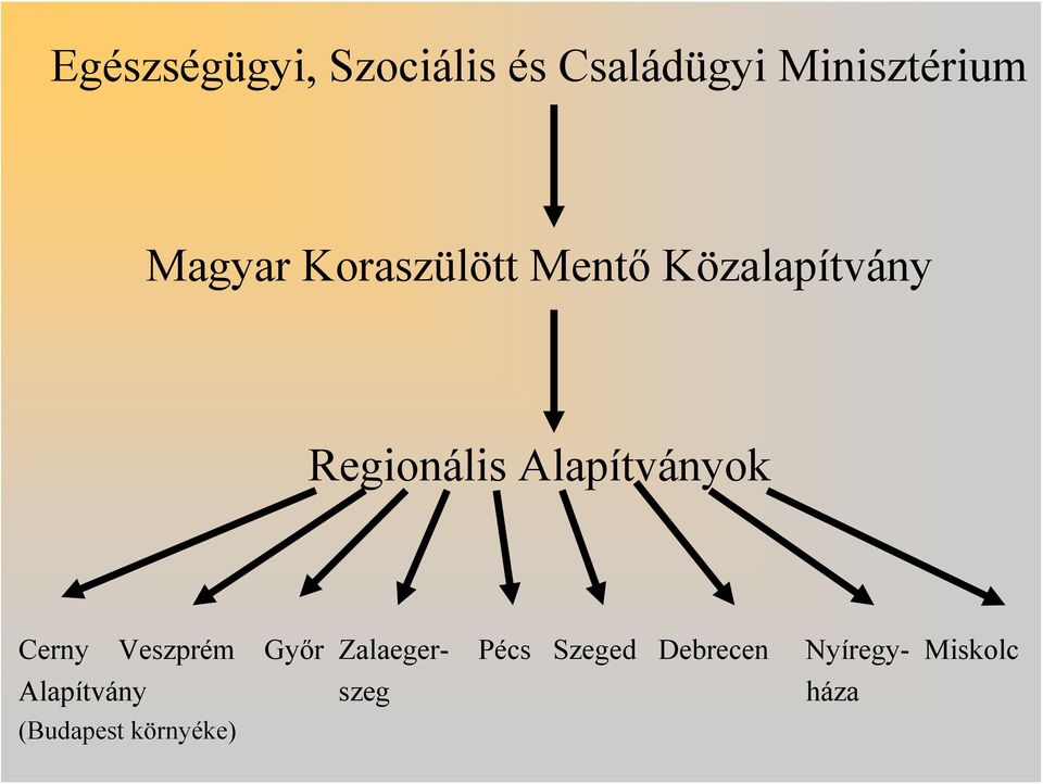 Alapítványok Cerny Veszprém Győr Zalaeger- Pécs Szeged