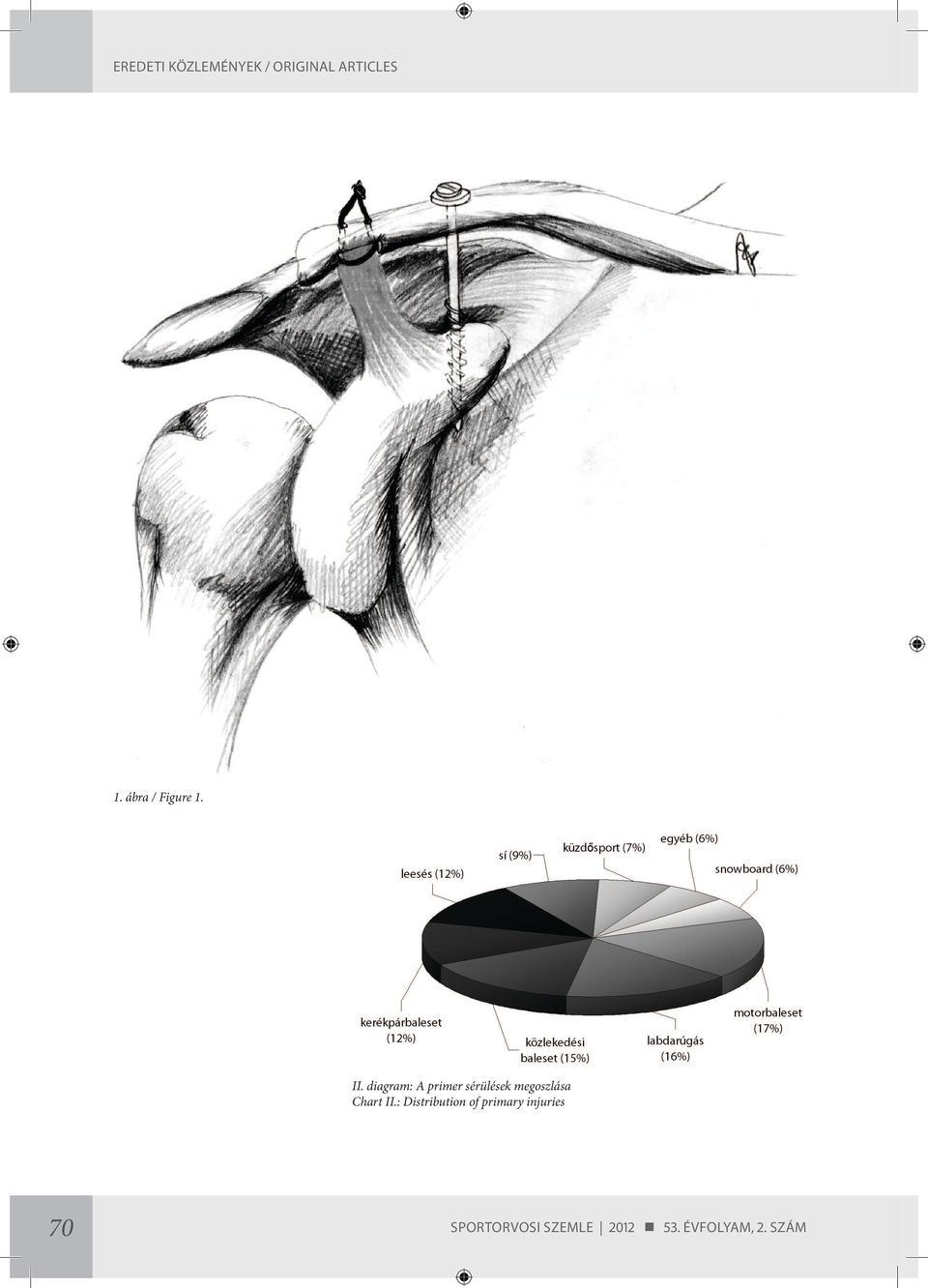 diagram: A primer sérülések megoszlása Chart II.