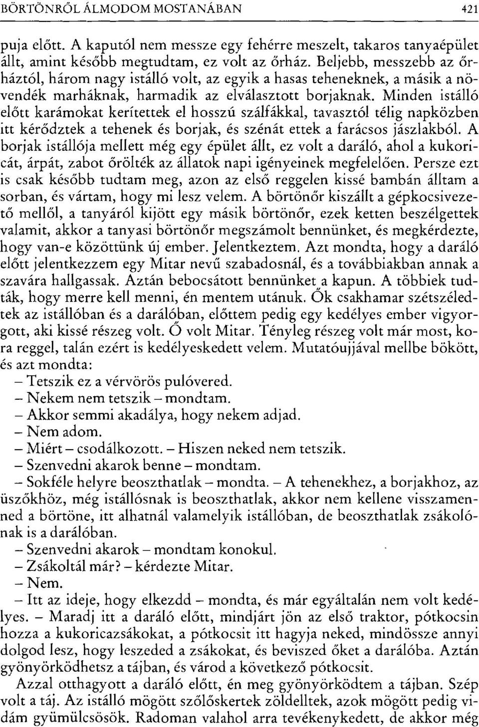 Minden istálló előtt karámokat kerítettek el hosszú szálfákkal, tavasztól télig napközben itt kérődztek a tehenek és borjak, és szénát ettek a farácsos jászlakból.