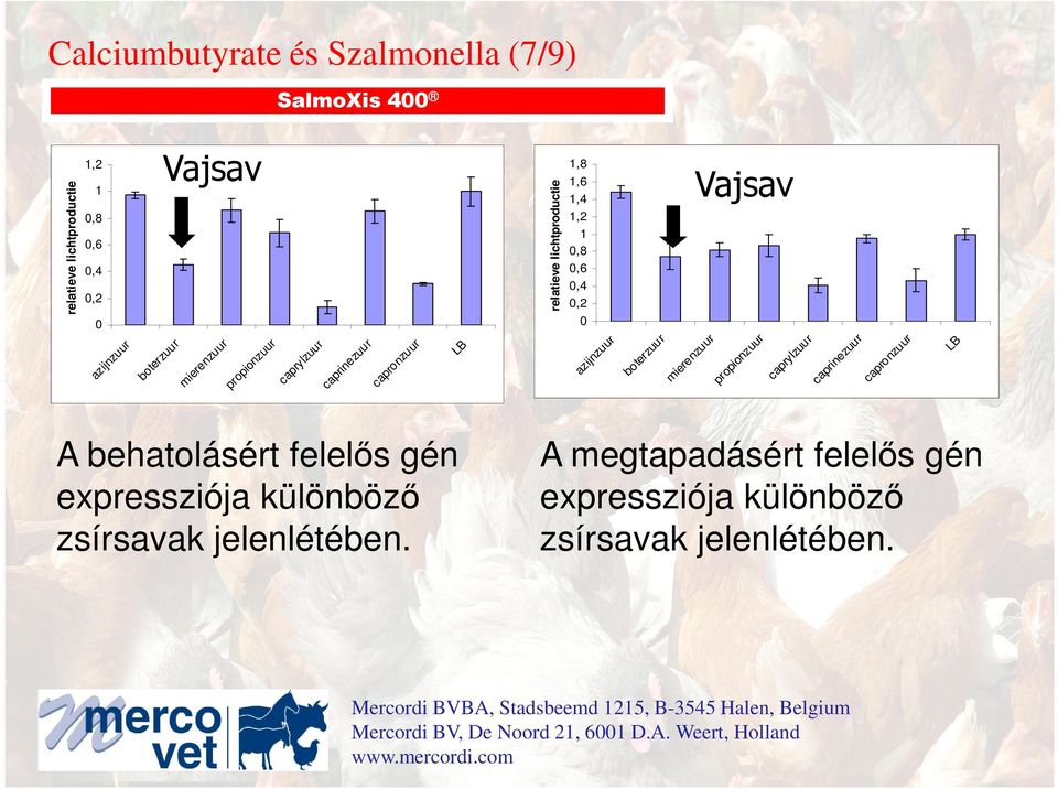 capronzuur LB azijnzuur boterzuur mierenzuur propionzuur caprylzuur caprinezuur capronzuur LB A behatolásért felelıs