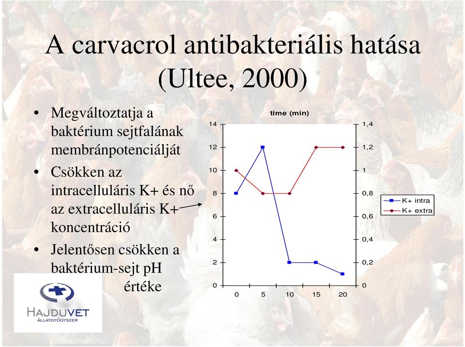 intracelluláris K+ és nı 8 az extracelluláris K+ 6 koncentráció Jelentısen