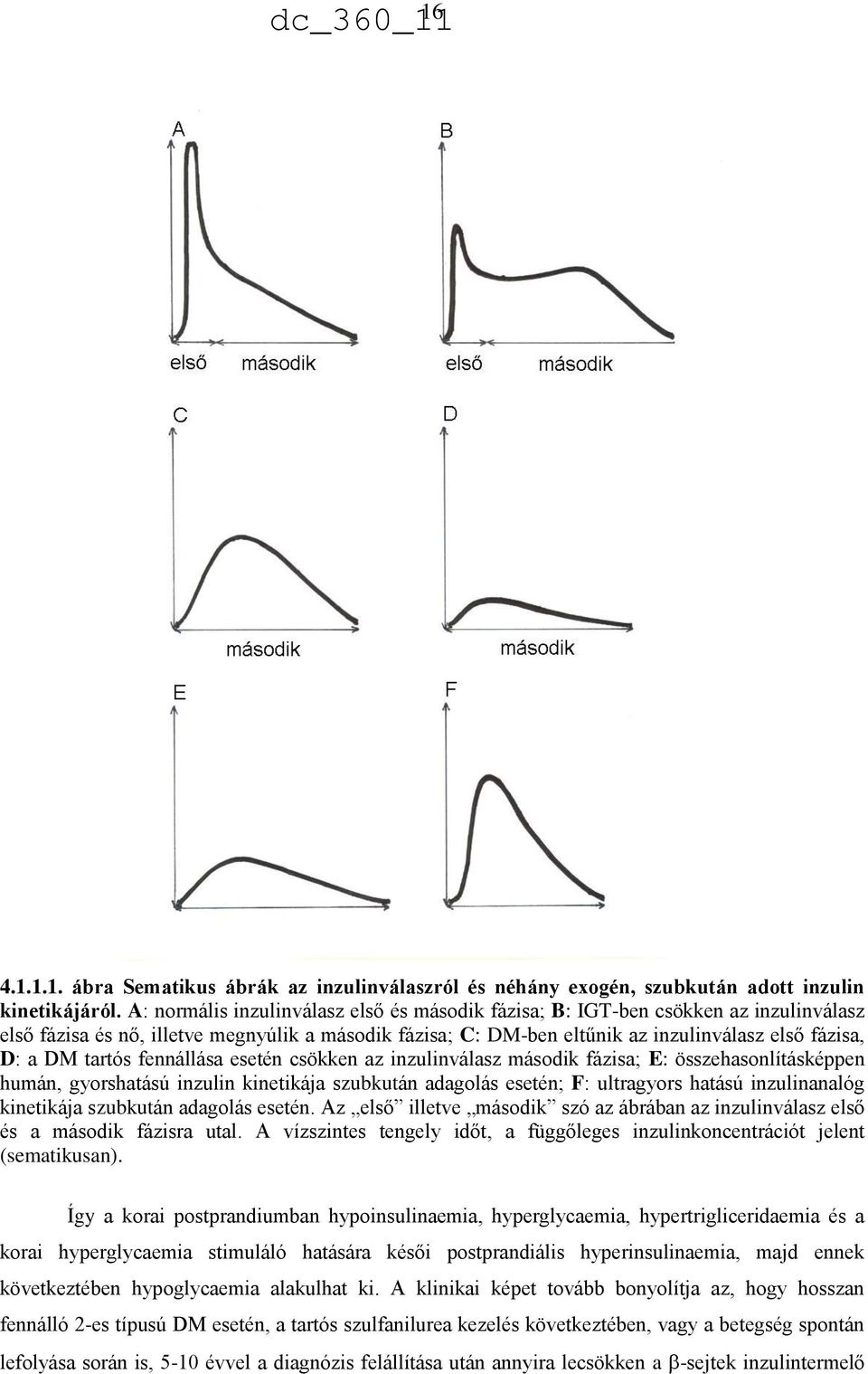 tartós fennállása esetén csökken az inzulinválasz második fázisa; E: összehasonlításképpen humán, gyorshatású inzulin kinetikája szubkután adagolás esetén; F: ultragyors hatású inzulinanalóg