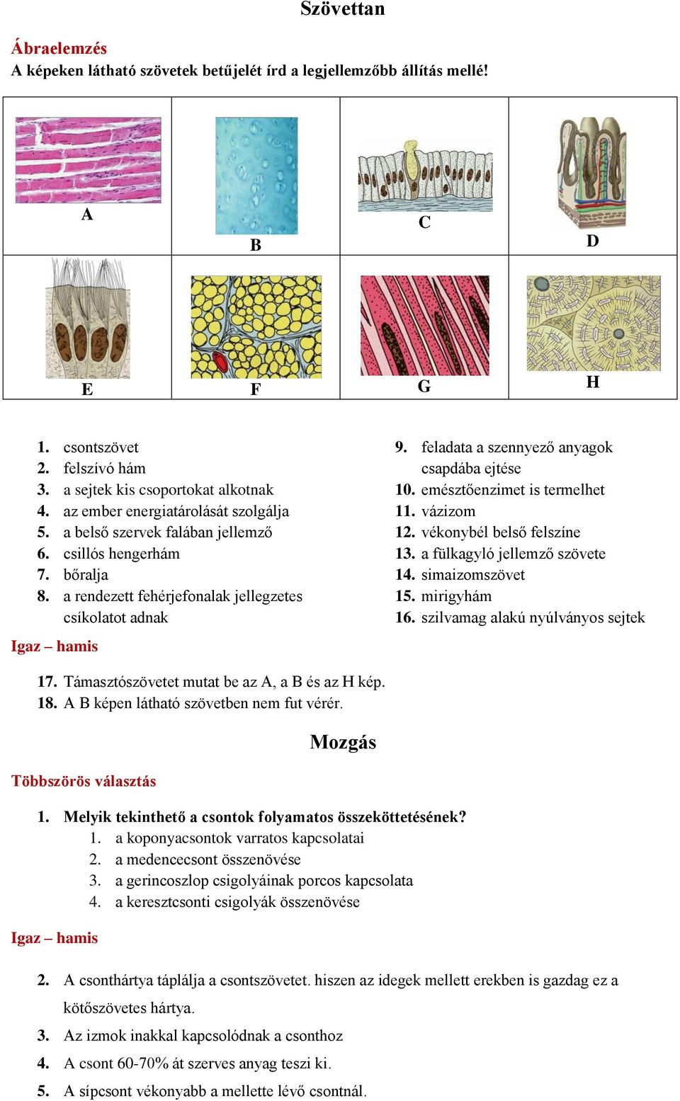 feladata a szennyező anyagok csapdába ejtése 10. emésztőenzimet is termelhet 11. vázizom 12. vékonybél belső felszíne 13. a fülkagyló jellemző szövete 14. simaizomszövet 15. mirigyhám 16.