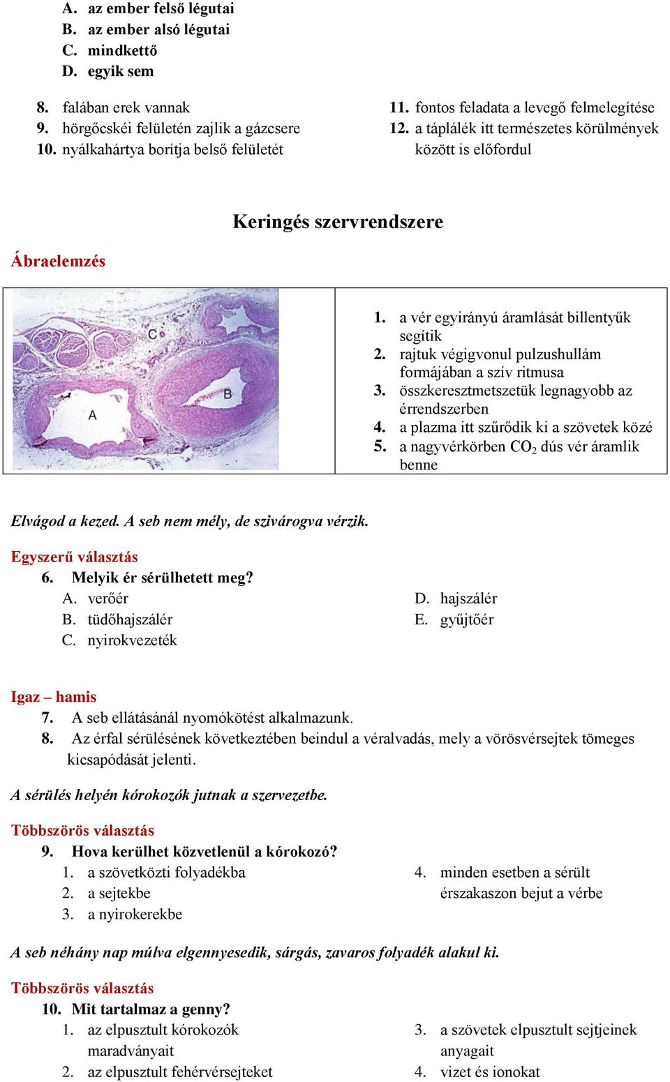 rajtuk végigvonul pulzushullám formájában a szív ritmusa 3. összkeresztmetszetük legnagyobb az érrendszerben 4. a plazma itt szűrődik ki a szövetek közé 5.