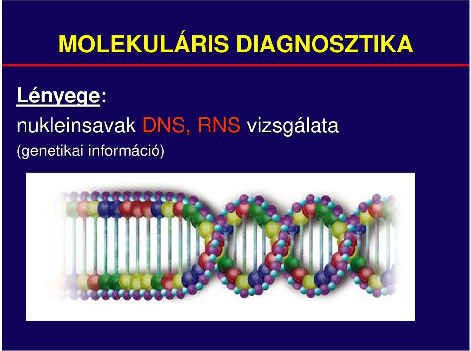 nukleinsavak DNS, RNS