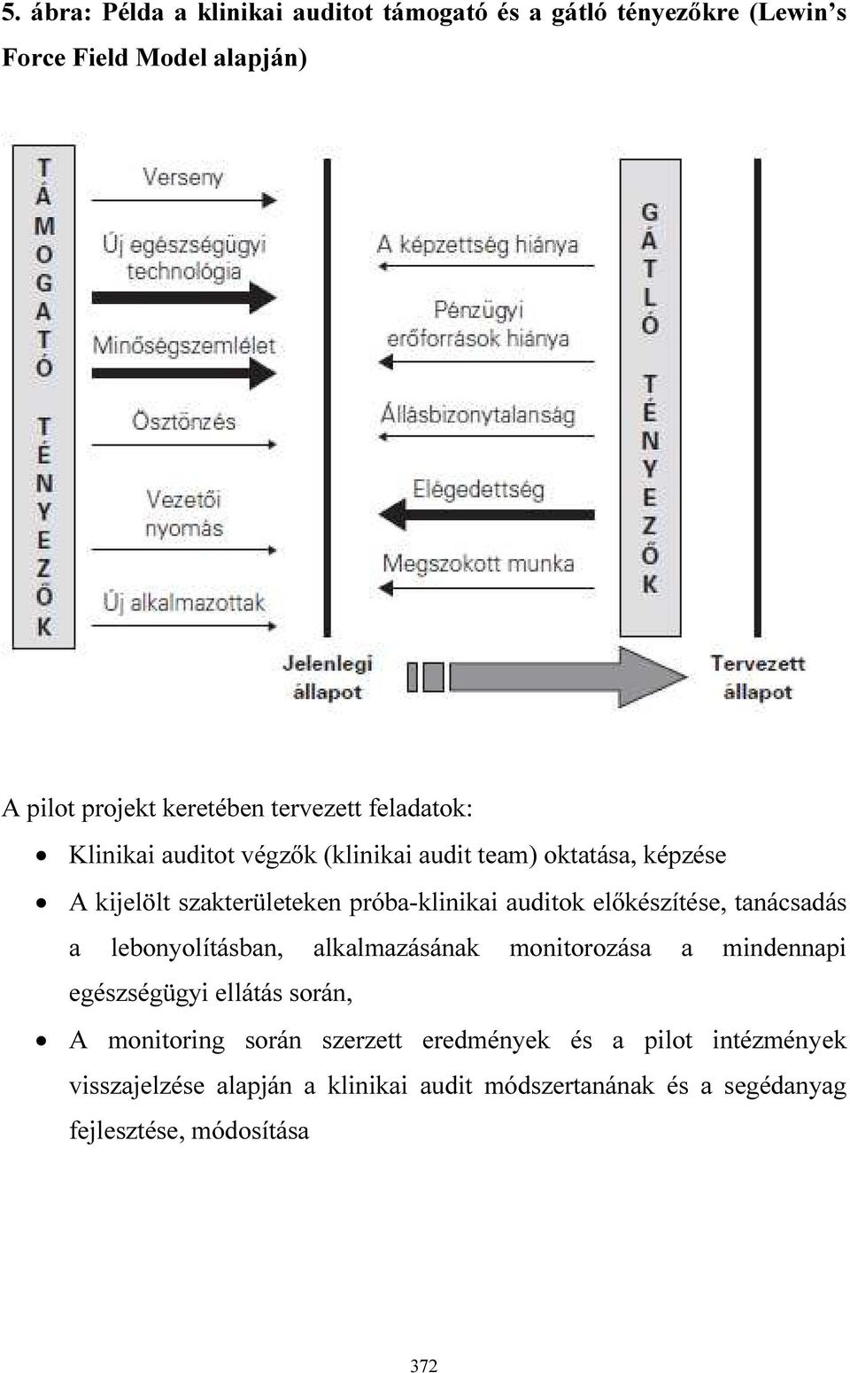 auditok előkészítése, tanácsadás a lebonyolításban, alkalmazásának monitorozása a mindennapi egészségügyi ellátás során, A monitoring