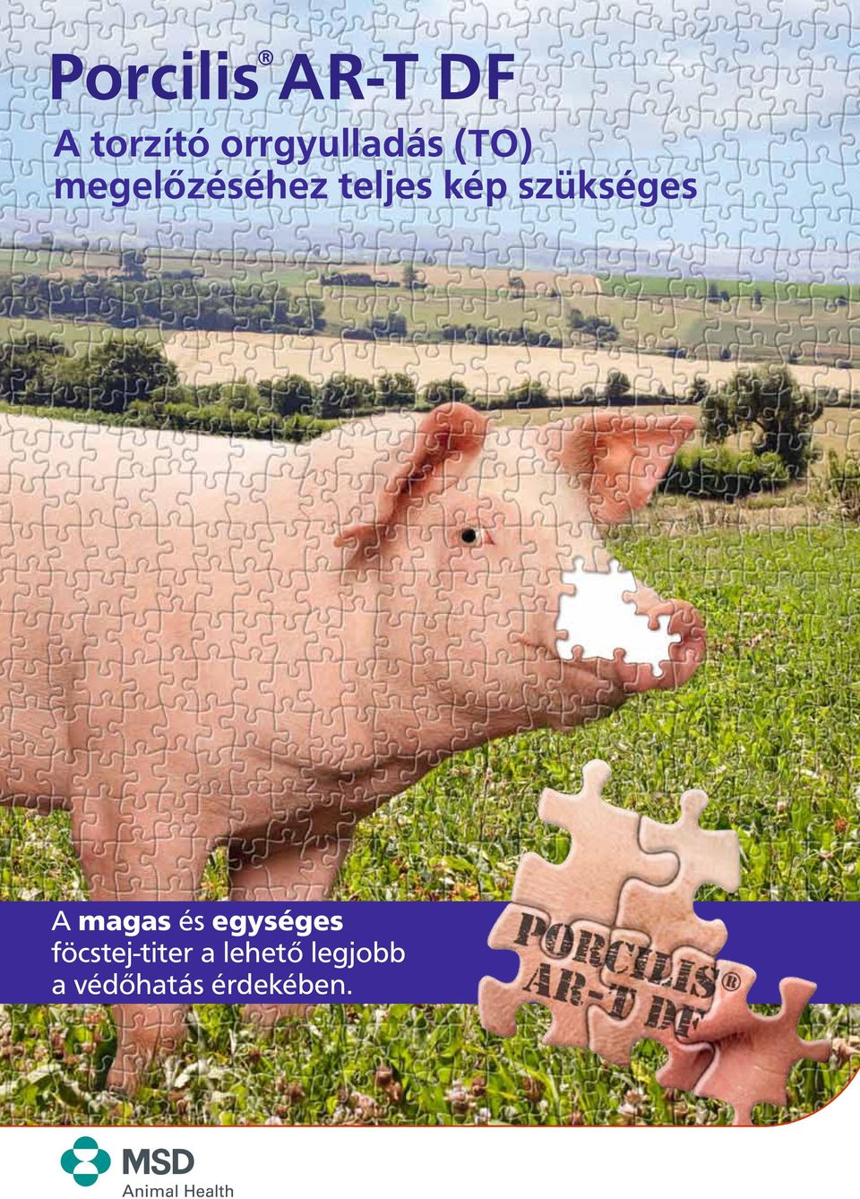 kép szükséges A magas és egységes