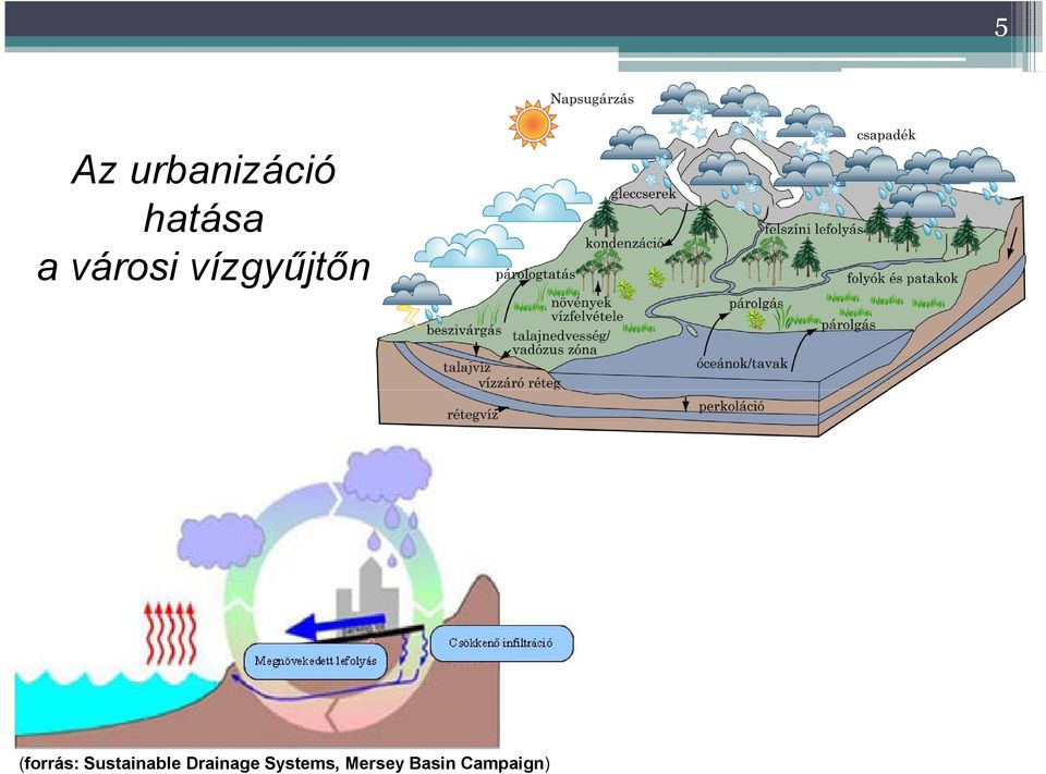 Sustainable Drainage