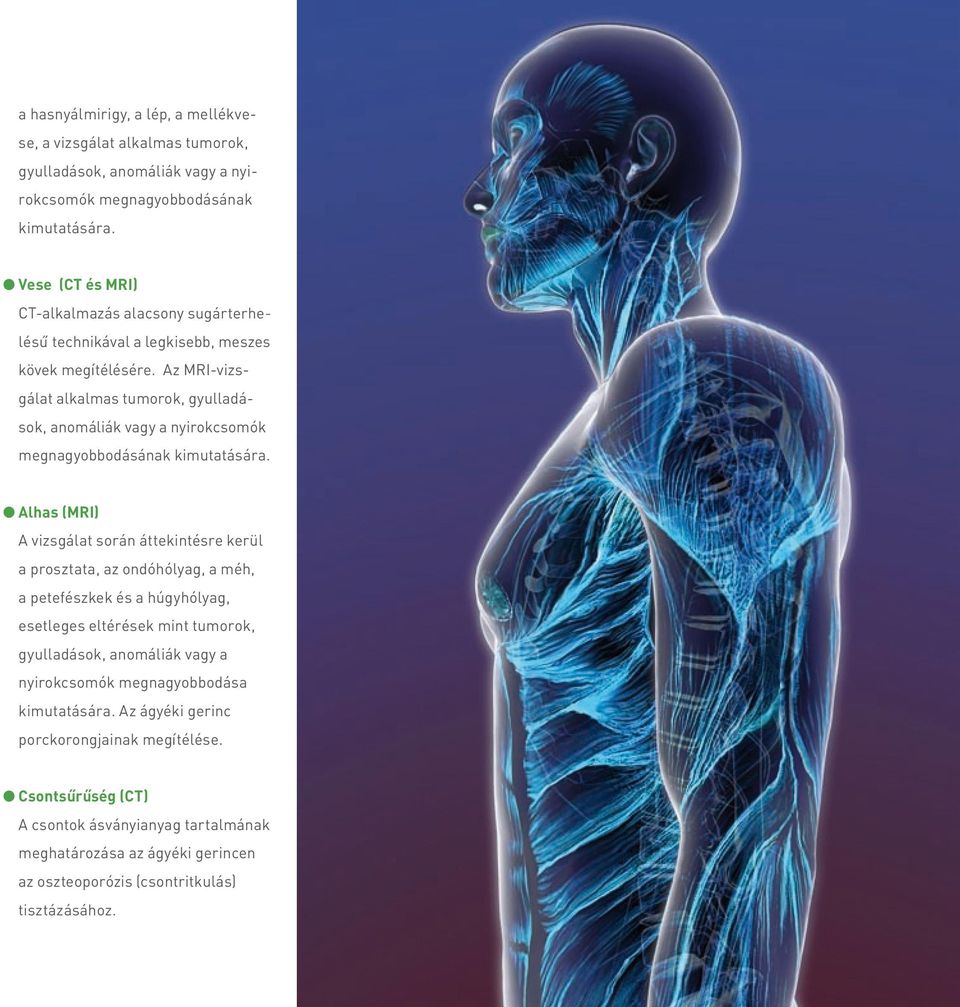 Az MRI-vizsgálat alkalmas tumorok, gyulladások, anomáliák vagy a nyi rokcsomók megnagyobbodásának kimutatására.